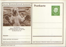 Germani/Federal Republic - Postal Stationery Postcard Unused 1959 - P41 Zoo Hannover - Postkarten - Ungebraucht