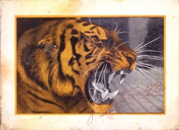 VERY OLD & VINTAGE GREETINGS CARD - IMAGE OF TIGER - Otros & Sin Clasificación