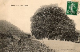 ETIVAL  Le Gros Chêne - Etival Clairefontaine