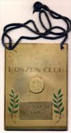 Aalst - Koszen Club Karnaval 1976 - Plaquette In Metaal - Carnaval