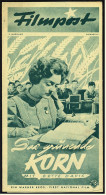 "Filmpost" "Das Grünende Korn" Mit Bete Davis , John Dall  -  Filmprogramm Nr. 47 Von Ca. 1948 - Other & Unclassified