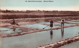 Beauvoir Sur Mer : Marais Salants - Beauvoir Sur Mer