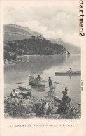 AIX-LES-BAINS CHATEAU DE CHATILLON LAC DU BOURGET ELEVAGE COCHONS 73 SAVOIE - Aix Les Bains