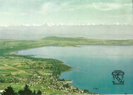 St.Blaise - Institut La Châtelainie, Vue Sur Le Lac Et Les Alpes           Ca. 1970 - Saint-Blaise