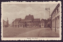 Carte Postale - APPELS - Het Zand - CPA   // - Dendermonde