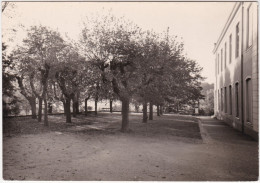 CPSM - GF - Maison De La Retraite La Rivette - 17 Montée Des Forts - Caluire (Rhône) - Caluire Et Cuire