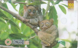 Philippines, PHI-TC-024f, Philippine Tarsiers, Monkey, 2 Scans. - Philippines