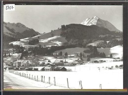 FORMAT 10x15 - LE PAQUIER - TB - Le Pâquier