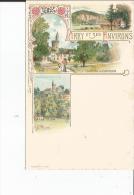 54 CIREY ET SES ENVIRONS SCIERIE CHATEAU CHATILLON LITHO - Cirey Sur Vezouze