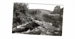 Thouars Passerelle Du Pommier - Thouars