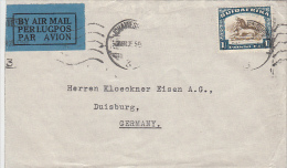 1386- COWS, STAMP ON COVER, 1935, SOUTH AFRIKA - Brieven En Documenten