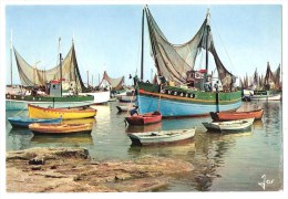 Lesconil (29) Bateaux De Pêche Dans Le Port - Lesconil