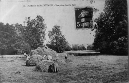 Chateau De Maintenon : Vue Prise Dans Le Parc - Maintenon