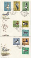 1510- WATERBIRDS FROM POLAND, COVER FDC, 3X, 1964, POLAND - Marine Web-footed Birds