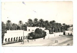 Algérie : Ouargla : La Casbah N°1505 CAP Dentelée Animée - Ouargla