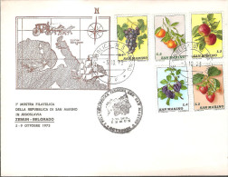 77.SAN MARINO 1973 Flora Grape Plum Strawberry Cover - Cartas & Documentos