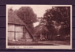 AK Lüneburger Heide. Motiv In Undeloh Karte Nicht Gel. - Lüneburger Heide