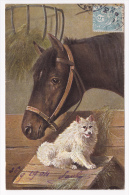 Carte Illustrée Par A Müller, München - Box Cheval En Compagnie D'un Chien "Cairn Terrier" Circulé 1904, UPU - Mueller, August - Munich