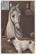 Carte Illustrée Par A Müller, München - Box Cheval En Compagnie D'un Chien "Setter Anglais" - Circulé 1904, UPU - Mueller, August - Munich