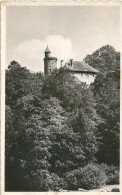 54  CIREY Sur  VEZOUSE  -   Chateau De Chatillon - Cirey Sur Vezouze