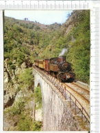 Le  Train Accroché  à La Colline   - Chemin De Fer Du Vivarais - Opere D'Arte