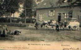 BRASSCHAET « Bij Trien Meyvis, Op De Kaart » - Ed. J. Van Wesenbeeck, Brasschaet (1905) - Brasschaat