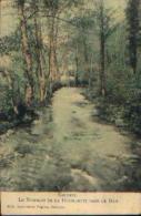 GEDINNE « Le Ruisseau De La Houillette Dans Le Bois » Phototypie Marco Marcovici, Bxl (1907) - Gedinne