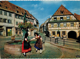 Delcampe - Barr - Alsaciennes - Restaurant Le Brochet - Carte Grand Format - Barr