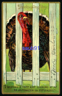 Thanksgiving  Day - Dinde - Turkey - I Wonder They Are Looking At Me In Admiration Or Sympathy- Carte Gaufrée - Embossed - Giorno Del Ringraziamento
