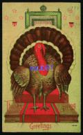 Thanksgiving Greetings -  Dinde - Turkey - Giorno Del Ringraziamento