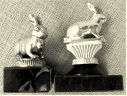 2 X Kleine Pokal Kaninchen-Zucht-Verein  -  Ca. 9,5 Cm Und 12 Cm Länge  -  Von Ca. 1975 - Autres & Non Classés