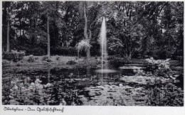 AK Wetzlar -Am Goldfischteich - Wetzlar