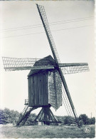 Gijmel Langdorp Aarschot Windmolen - Aarschot