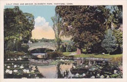 Lilly Pond And Bridge Elizabeth Park Hartford Connecticut - Hartford