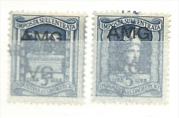 MARCA DA BOLLO REVENUE - TRIESTE AMG VG - LIRE 5 IGE LE DUE PARTI - Revenue Stamps