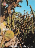 Monaco. Monte-Carlo. Le Jardin Exotique. Groupe De Cactus. - Exotic Garden