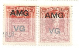 MARCA DA BOLLO REVENUE - TRIESTE AMG  VG - IGE  LIRE 2 - LE DUE PARTI - Revenue Stamps