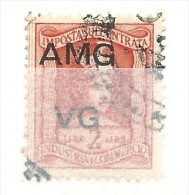 MARCA DA BOLLO REVENUE - TRIESTE AMG  VG - IGE  LIRE 2 - TESTA - Revenue Stamps