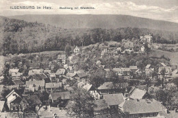 Ilsenburg Im Harz. Buchberg Mit Waldhöhe - Ilsenburg