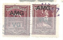 MARCA DA BOLLO REVENUE - TRIESTE AMG  VG - IGE  LIRE 20 - LE DUE PARTI - Fiscaux