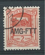 MARCA DA BOLLO/REVENUE  - TRIESTE AMG FTT -IGE  L. 2 - Revenue Stamps