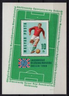 Football World Cup / Soccer / England - MNH Block - Hungary 1966 - 1966 – Inglaterra