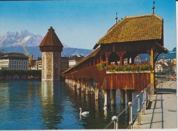 SUISSE,HELVETIA,SWISS,SWI TZERLAND,SVIZZERA,SCHWEIZ ,LUZERN,LUCERNE,LAC DES QUATRE CANTONS,CHAPELLE,PONT,CYG NE,GRUE,BAN - Lucerna