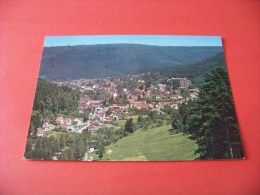 Bad Herrenalb   /   Gelaufen 1976    ( P - 13 ) - Bad Herrenalb