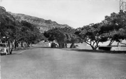 La Place Du Barachois Bordée D'arbres De L'intendance - Saint Denis