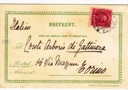 10 Ore Su Post Card, Skansen To Torino Italia 1901 - Covers & Documents