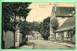 67 BISHWEILER - Kirchgasse - Bischwiller