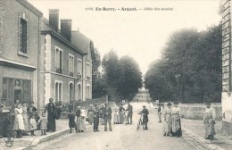 ARGENT SUR SAULDRE  (18) ALLEE DES ACCACIAS - Argent-sur-Sauldre