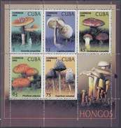 2002.177 CUBA MNH SPECIAL FORMAT MUSROOAD ONLY 10.000 HONGOS - Blocks & Sheetlets