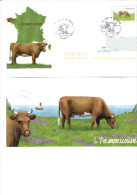 Enveloppe Entier Postale Oblitérée F. D. C. Race Bovine L'Armoricaine + Bristol Correspondance / Phare - Moscheen Und Synagogen